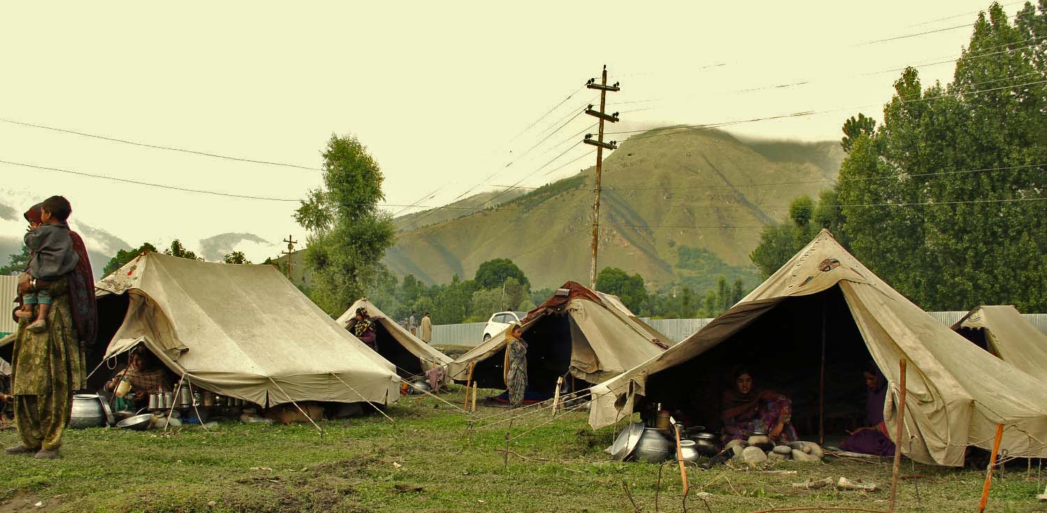 Zulaikha nomad gujjer bakerwal tribal 